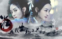 世界拳击公开赛：选手恢复方案成团队竞争优势，世界拳击联赛