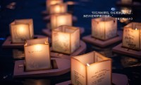 世界拳击退役运动员心理康复与职业规划研讨会纪要，拳击运动员退役可以补多少钱